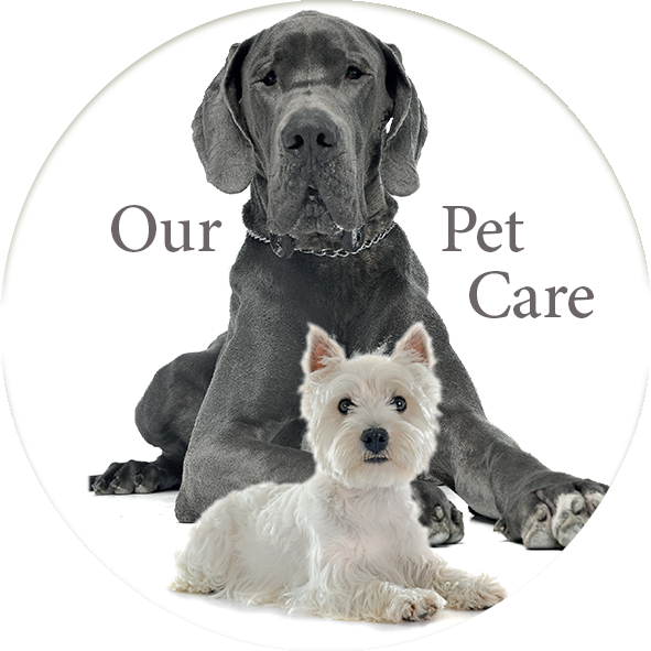 Our Pet Care image