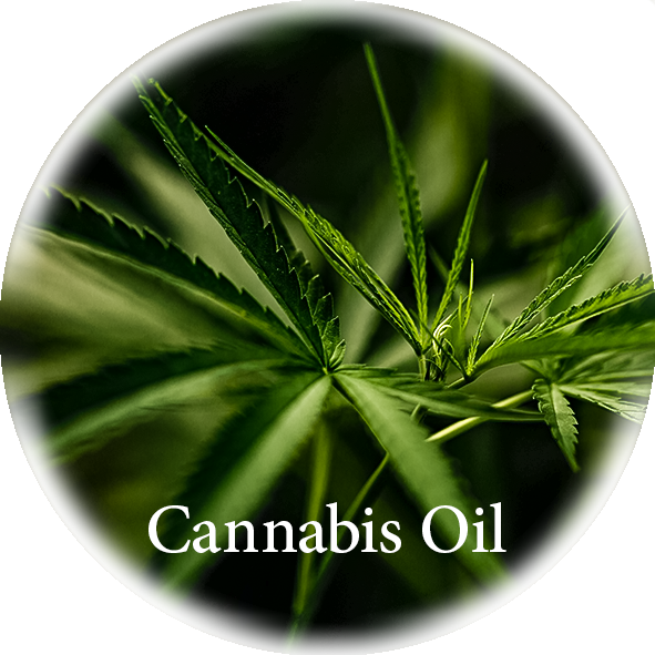 Cannabis Oil image