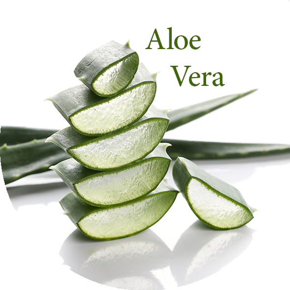 Aloe Vera image