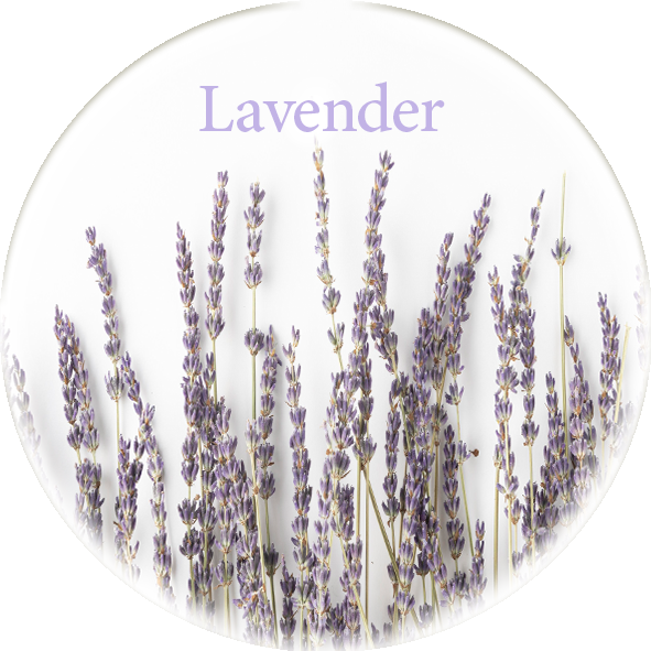 Lavender image
